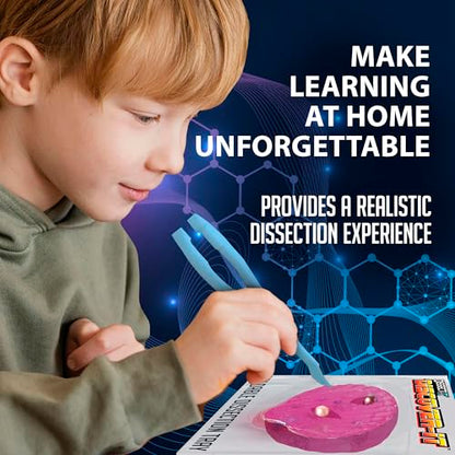 Discover-It Pearl Oyster, Science Lab Kit, STEM Toy for Kids, Ages 5+