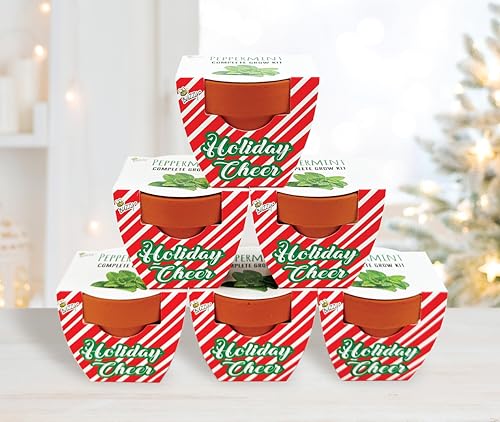 BUZZY Seeds Candy Cane Peppermint Grow Kit 6-Pack, Terracotta Pots - color: 6pk Candy Cane Peppermint