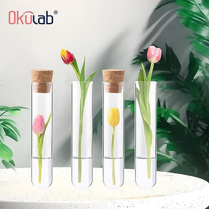 Clear Glass Test Tubes 50PCS, 16x150mm (20ml) Glass Test Tube with Cap and Brush for Scientific Plants, TTGS02A50 - style: 50PCS of 16x150mm (20ml)