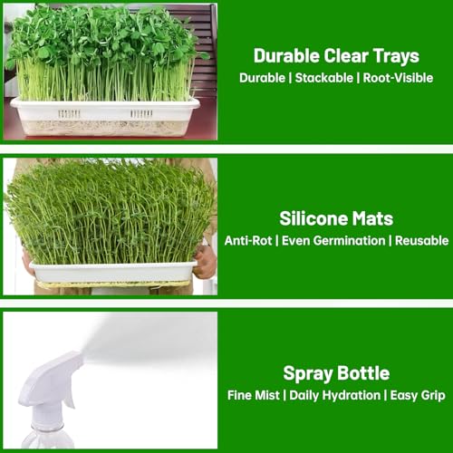 Acrylic Microgreens Growing Trays 3-Pack with Silicone Mats & Spray Bottle – Clear Hydroponic Germination Kit for Vegetables, Wheatgrass, Cat Grass – Soilless Trays for Home Kitchen & Classroom