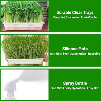 Acrylic Microgreens Growing Trays 3-Pack with Silicone Mats & Spray Bottle – Clear Hydroponic Germination Kit for Vegetables, Wheatgrass, Cat Grass – Soilless Trays for Home Kitchen & Classroom