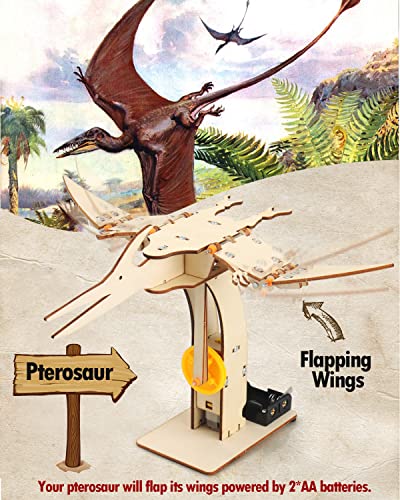 Poraxy 4 Pack Dinosaur Toys for Kids 8-12, STEM Kits, Toys for Ages 8-13, Wooden 3D Puzzle, Educational Science Building Projects Crafts, Birthday Gifts for Boys Girls 7 8 9 10 11 12 13 Years Old - size: Dinosaur toys without Paints