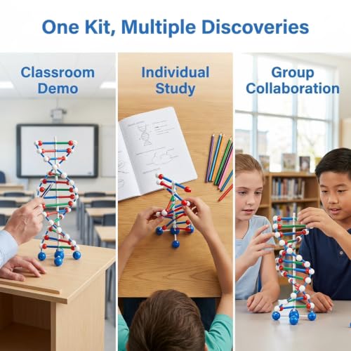VOSAREA DNA Model Kit for Classroom Double Helix Molecular Model Kit for Teaching Genetics Structure Science Classroom Decor 1 Set