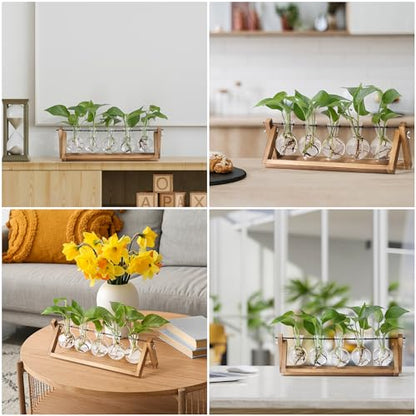 YIBOT Plant Propagation Stations with Wooden Stand & 5 Glass Bulb Vases - size: 5Bulb-A