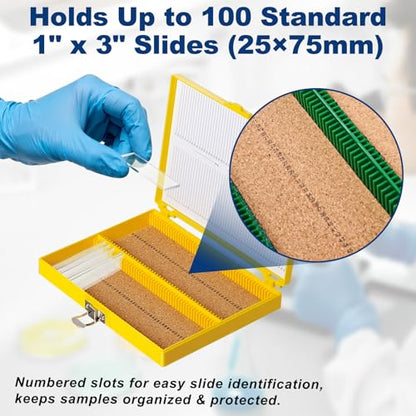 Microscope Slide Box, 100-Place, Cork Lining, 10 Pcs - size: Cork Lining