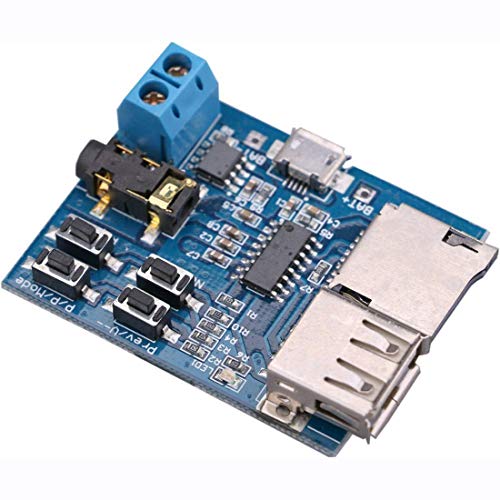 HiLetgo TF Card U Disk Play MP3 Decoder Player Module with Audio Amplifier Audio Decoding Player Module Micro USB 5V Power Supply (Pack of 2) - size: Small (Pack of 2)