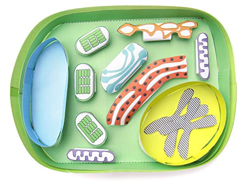 NewPath Learning Simple Plant Cell 3-D Paper Model Making Kit, Set/5 Full-Color, Paper Model Templates & Teacher Guide (24-7731)