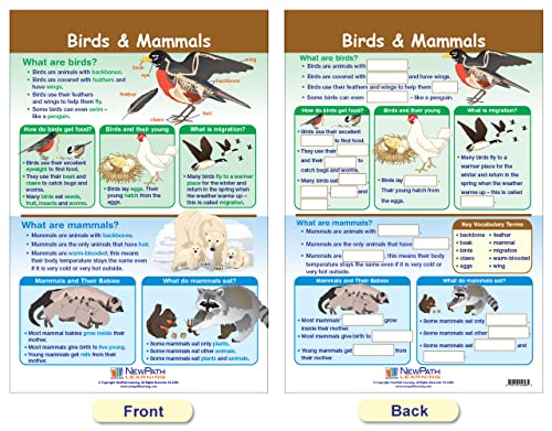 NewPath Learning-94-1501 All About Animals Bulletin Board Chart Set (Pack of 5)