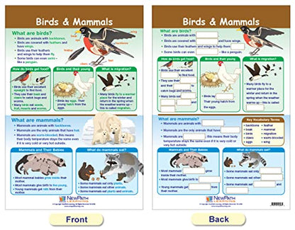 NewPath Learning-94-1501 All About Animals Bulletin Board Chart Set (Pack of 5)