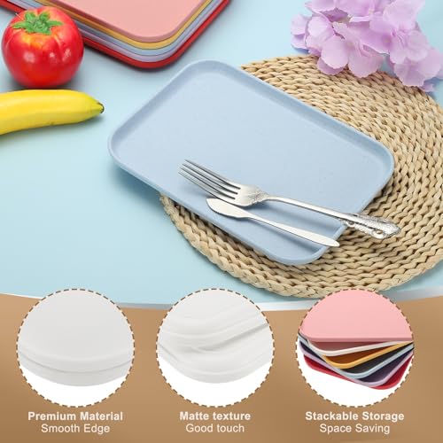 PATIKIL 12x8.7 Plastic Tray, 2 Pack Rectangular Plates Small Food Tray Wheat Plates Dishes Reusable Dessert Plate Trays with Cloth for Cake Fruits Salad Cupcake Steak Serving White - color: White, size: M(12"x8.7")