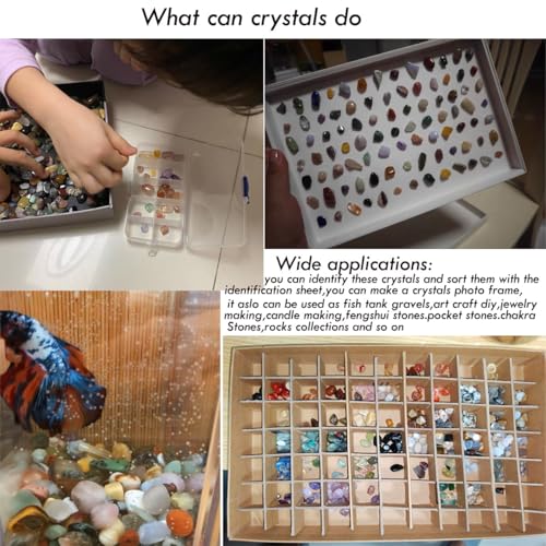 60Kinds+ Gemstones and Crystals Set,Bulk Tumbled Chips Crystals for Jewelry Making,Crushed Stones Rocks and Minerals Science Kit (0.55lb(60-65types))