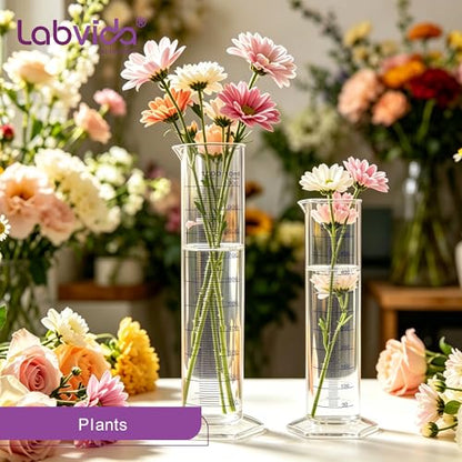 2pcs Plastic Autoclavable Graduated Cylinders, 500ml 1000ml, LVF004 - color: cylinder set