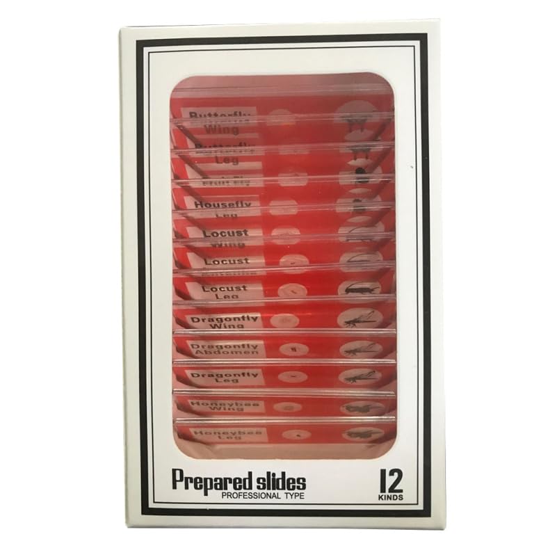 Kids Microscope Accessories 12pcs Plastic Slides Prepared Specimens Set