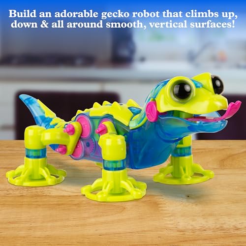 T&K GeckoBot 2.0 | Robotics & Engineering Set