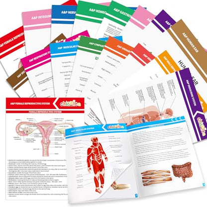 chiazllta 16 Pack Anatomy & Physiology Study Guides Set Human Body Systems Anatomy Study Tools Educational Charts Nursing School Success Bundle for Paramedic Medical School Students