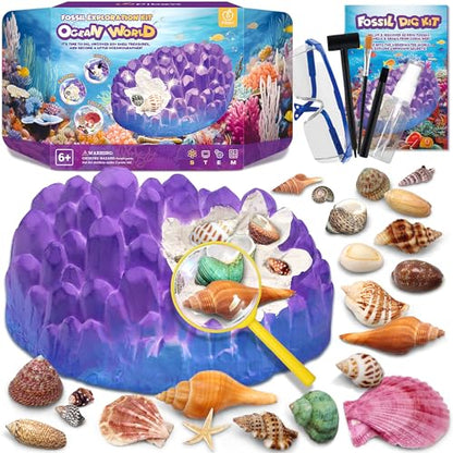 PIBEX Ocean Fossil Dig Kit, 20+ Real Shells & Seasnails, Sea Creature Toy - size: Ocean World (20+ Fossils)
