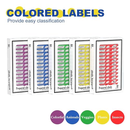 60pcs Prepared Microscope Slides for Kids, Microscope Specimen Slides with Plants Insects for Biology and Science Study, Microscope Accessories Slides Set for Kids - size: 60pcs