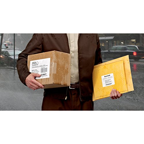 Avery Durable Waterproof Shipping Labels with Sure Feed Technology, 3-1/3" x 4", White, Laser Compatible, 300 Blank Labels Total, Great for Mailing, Branding, and More (5524) (Pack of 5) - size: 3 1/3" x 4" (Pack of 5), style: 300 labels