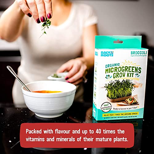 Back to the Roots DIY Microgreen Grow Kit, 6-Grow Variety Pack - color: Microgreen 6ct