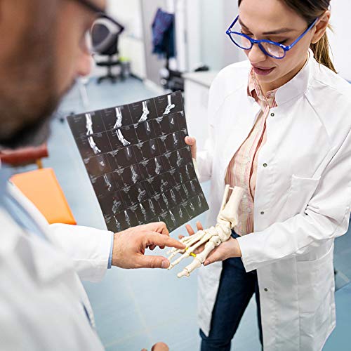 NEW HORIZON Foot Skeleton Model On Elastic, W/Tibia-Fibula Stump Strung Elastic Bungee, Natural Cast for Accurate Representation Study Kinematics Podiatrist Orthotisit Physiotherapist