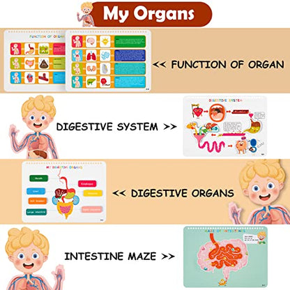Freebear Montessori Busy Book for Kids, Human Body Anatomy Book for Toddlers, Preshool Kindergarten Learning Activities, Autism Sensory Toys, Travel Toys, Gifts for Girls and Boys 4 5 6 7 8 Years - style: Human structure 1