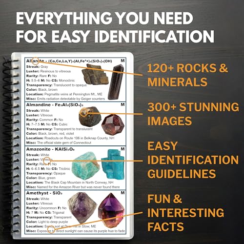 New England Rocks And Minerals Identification Field Guide | Waterproof