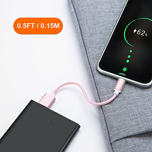 CableCreation USB A to Lightning Cable 6inch,iPhone Charging Data Sync Cord - color: Pink