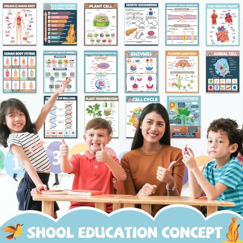 Yiaoyinnz 16Pcs Boho Biology Science Posters for Classroom - color: boho