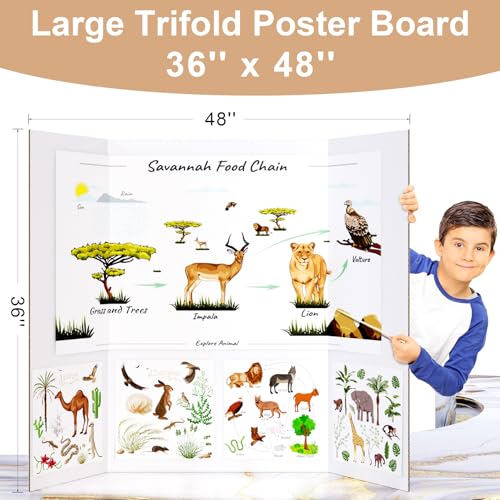 HAUTOCO 3 Pcs Small Trifold Poster Board 21 x 14 inches and 2 Pack 36'' x 48'' Trifold Poster Board Large Tri Fold Project Boards for Science Fairs, School Projects, Event Displays, Business