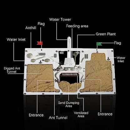 ELNMLHT Ant Farm Castle, Ant Farms with Yellow Sand and Tool Kit, Ant Colony Observation Kit, Ant Viewing Habitat Science Kit, Educational & Learning Science Kit for Kids, Adults, Student - color: Ant Farm C