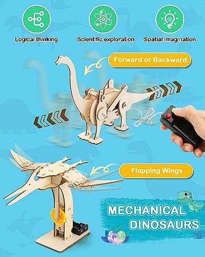 Poraxy Dinosaur Toys, 4 in 1 STEM Kits for Kids Age 8-10, Toys for Ages 8-13, Educational Science Building Projects, 3D Wooden Puzzles Robot Crafts, Gifts for Boys Girls 7 8 9 10 11 12 13 Year Old - size: Dinosaur toys with Paints