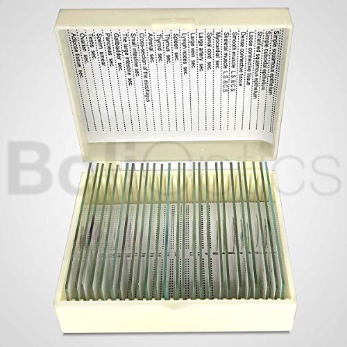 BoliOptics 25 Prepared Microscope Slides Human Biology Specimen Set Human Anatomy Organ Tissue Cells for Students Hobbyists Beginners Kids Homeschool Medical School, SL39901005