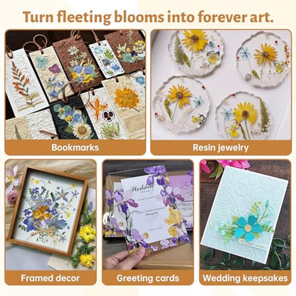 HomdMarket Spring Flower Press Kit - 12"x8" Wooden Press with 6 Layers & Even Pressure, Includes Tools & Archival Envelopes for Dried Flowers, Wedding, Resin Art