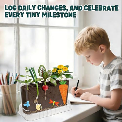 Root Viewer Kit for Kids - Science STEM Toys with Fun Stickers & Storybook, Craft Planting Kits for Ages 4-12, Birthday Gifts for Girls & Boys 4 5 6 7 8 9 10 Year Old(A Size)
