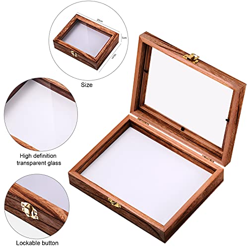 Willbond Insect Display Case Bug Box with Clear Lid, Brown - color: Brown