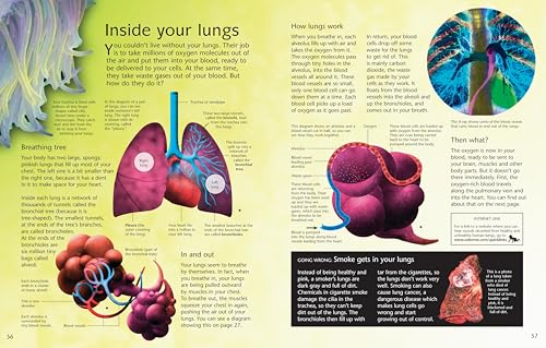 Complete Book of the Human Body: An Engaging Illustrated Guide About Anatomy and Biology for Kids (Ages 8-12)