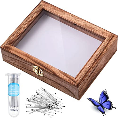 Willbond Insect Display Case Bug Box with Clear Lid, Carbonized Black - color: Carbonized Black