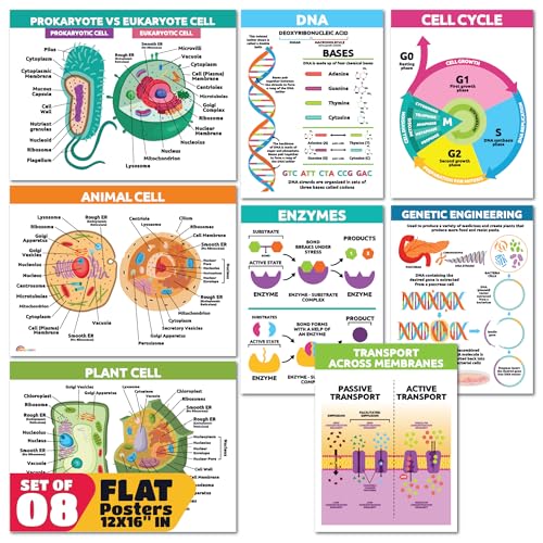 Sproutbrite 8 Pack 12”x16” Plant Cells & Human Body Science Posters & Chart