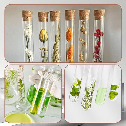 15Pcs Plastic Test Tubes with Cork Stoppers, 15ml Plant Propagation Tubes