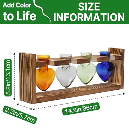 Plant Propagation Stations Heart Plant Terrarium Kit - color: Color01