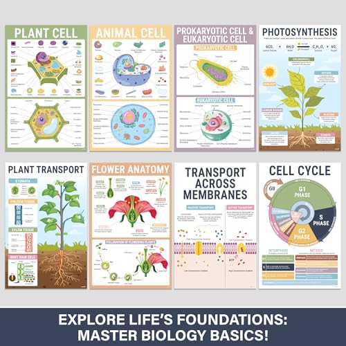 BrightenKidz Biology Posters for Classroom, 15 Pack 11x17 Science Charts - color: Biology Posters