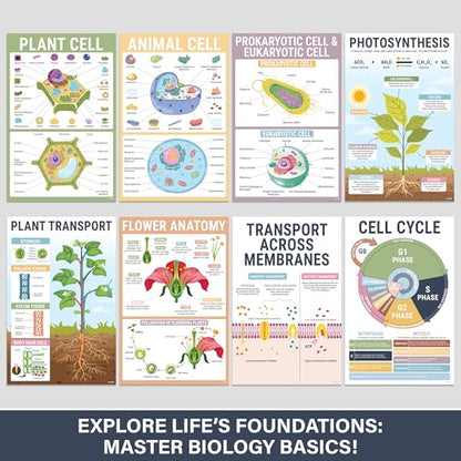 BrightenKidz Biology Posters for Classroom, 15 Pack 11x17 Science Charts - color: Biology Posters
