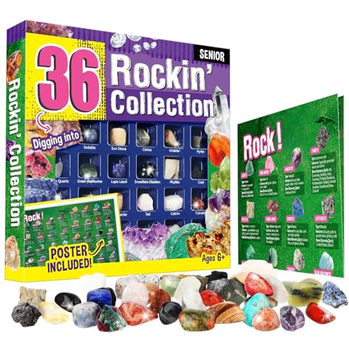 Gamerside Rock Collection Box 36 Cool Rocks, STEM Science Kit for Kids 6+ - color: 36 Rocks