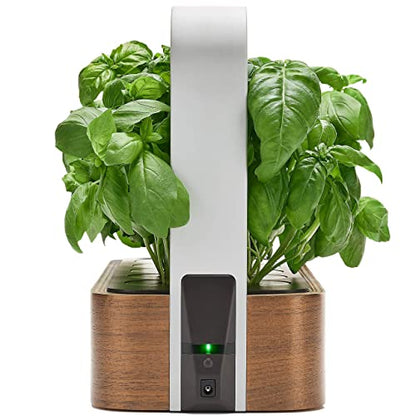 edn Indoor Smart Garden with Basil SeedPods for iOS Devices