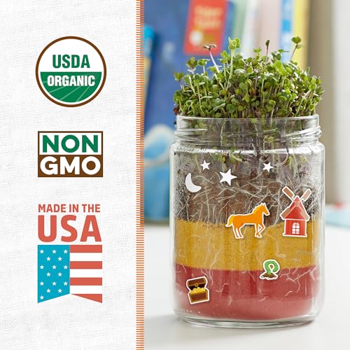 Back to the Roots Terrarium Grow Kit - Easy-to-Use DIY Set for All Ages Small