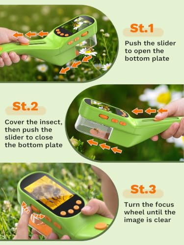 Bug Catcher for Kids with Microscope, Bug Catching Kit-Emerald Green - color: Emerald green