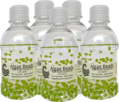 Algae Research and Supply: Algae Beads (Ready-to-go Algae Beads in Indicator- snap vials (x100)) - style: Ready-to-go Algae Beads in Indicator- snap vials (x100)