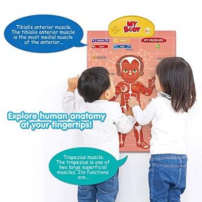 BEST LEARNING i-Poster My Body - Interactive Talking Human Anatomy Toy - style: My Body