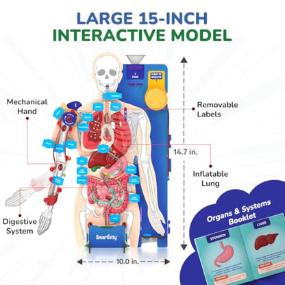 Smartivity DIY Interactive Human Body Model for Kids 8-14 Years