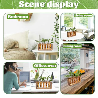 Glass Plant Propagation Station with 5 Test Tubes Colorful Planter Vase - color: Amber